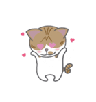 巻きしっぽネコ2（個別スタンプ：11）
