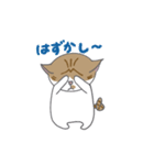 巻きしっぽネコ2（個別スタンプ：13）