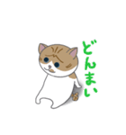巻きしっぽネコ2（個別スタンプ：14）