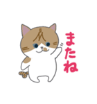 巻きしっぽネコ2（個別スタンプ：15）
