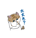 巻きしっぽネコ2（個別スタンプ：16）