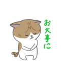 巻きしっぽネコ2（個別スタンプ：17）