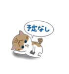 巻きしっぽネコ2（個別スタンプ：18）