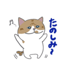 巻きしっぽネコ2（個別スタンプ：19）