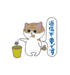 巻きしっぽネコ2（個別スタンプ：22）