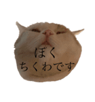 のなめさんちのちくわ①（個別スタンプ：1）