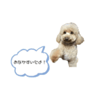 かさまつ家の犬達（個別スタンプ：6）
