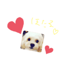 ほーちゃんのスタンプ☆（個別スタンプ：2）