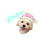 ほーちゃんのスタンプ☆（個別スタンプ：4）