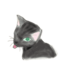 うちの猫と時々野良猫2（個別スタンプ：2）