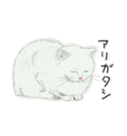 うちの猫と時々野良猫2（個別スタンプ：7）