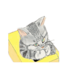 うちの猫と時々野良猫2（個別スタンプ：8）