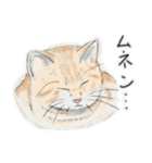 うちの猫と時々野良猫2（個別スタンプ：13）