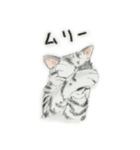うちの猫と時々野良猫2（個別スタンプ：14）