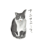 うちの猫と時々野良猫2（個別スタンプ：16）