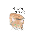 うちの猫と時々野良猫2（個別スタンプ：17）