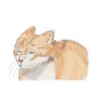 うちの猫と時々野良猫2（個別スタンプ：19）