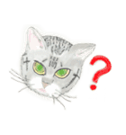 うちの猫と時々野良猫2（個別スタンプ：23）
