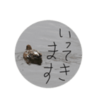 猫と不愉快な仲間たち（個別スタンプ：4）