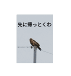 猫と不愉快な仲間たち（個別スタンプ：8）