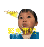 タロペス（個別スタンプ：3）