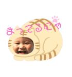 タロペス（個別スタンプ：12）