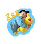 タロペス（個別スタンプ：31）