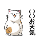 猫大好き！その24 三毛猫4（個別スタンプ：18）