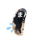 pyramid松永（個別スタンプ：1）