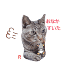 らぶととらとびび（個別スタンプ：4）