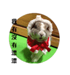 ツンデレのうさぎ（個別スタンプ：3）