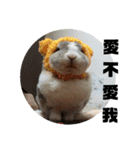 ツンデレのうさぎ（個別スタンプ：13）