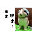 ツンデレのうさぎ（個別スタンプ：26）