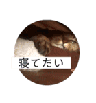 みゅぅ❤-myu-（個別スタンプ：4）