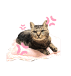 みゅぅ❤-myu-（個別スタンプ：6）