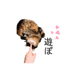 みゅぅ❤-myu-（個別スタンプ：10）