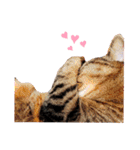 みゅぅ❤-myu-（個別スタンプ：17）