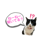ビビ1（個別スタンプ：1）