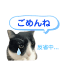 ビビ1（個別スタンプ：3）