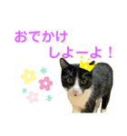 ビビ1（個別スタンプ：7）