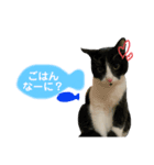 ビビ1（個別スタンプ：8）