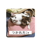 ひめとほくろ（個別スタンプ：3）