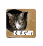 ひめとほくろ（個別スタンプ：5）