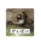 ひめとほくろ（個別スタンプ：6）