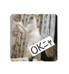 ひめとほくろ（個別スタンプ：7）