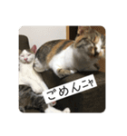 ひめとほくろ（個別スタンプ：10）
