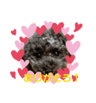 わんワンわんEveryday（個別スタンプ：3）