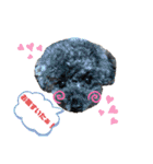 わんワンわんEveryday（個別スタンプ：16）