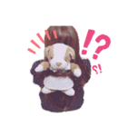 あんちゃんだよ！（個別スタンプ：2）