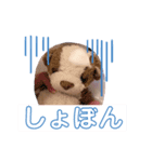 あんちゃんだよ！（個別スタンプ：7）